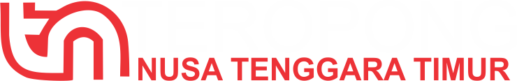 Teropong-NTT.id